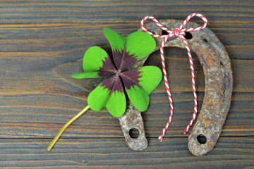 Old horseshoe and lucky clover