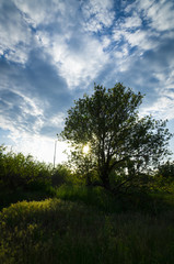 The Ukrainian landscape