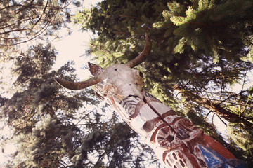 Indian totem with goat skull in the forest