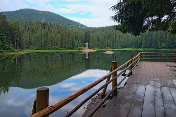 Famous Synevyr mountain lake. Gorgeous morning scenery with spruce forest and clouds reflecting on a water surface. Carpathians Mountains, Ukraine