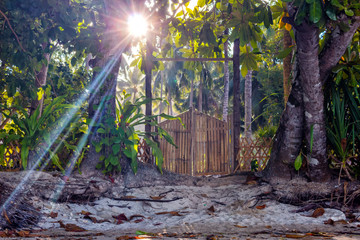 The bamboo gate behind which the rising sun is seen among the palm-green palms.