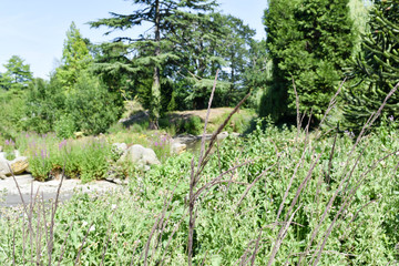 Fototapeta premium landscape