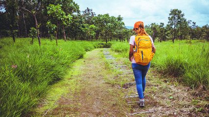 woman Asian travel nature. Travel relax. Walk study the path Nature in the forest