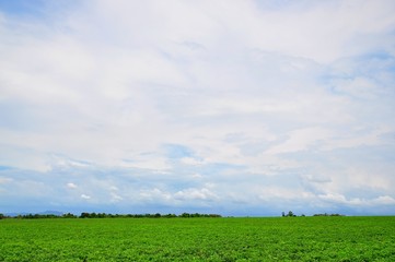 Beautiful farm and sky on a sunny day in Shalu, Taichung, Taiwan