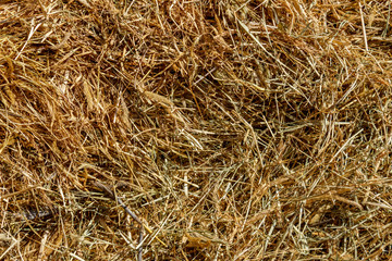 after harvest yellow dry texture of straw grass