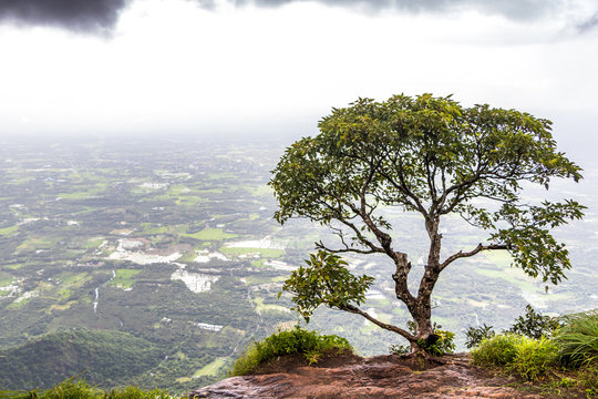 Nelliyampathy is a hill station within the Nelliyampathy Forest Reserve, in the southwest Indian state of Kerala.