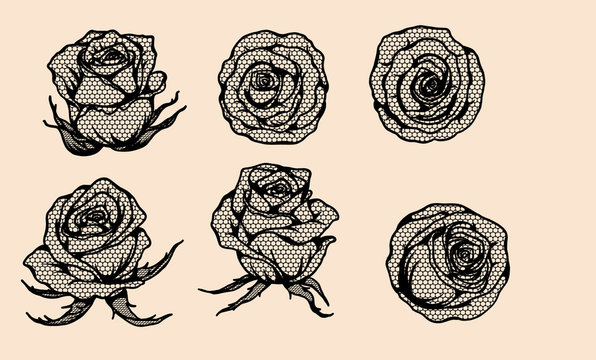 Rose vector lace by hand drawing.Beautiful flower on brown background.Rose lace art highly detailed in line art style.Flower tattoo on vintage paper.