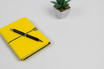 Notebook with Pen and Pencil and Succulent Plant