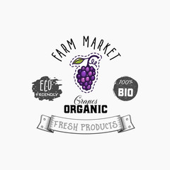 Grapes Bio sticker and eco products. Grapes web element, Isolated Vector.