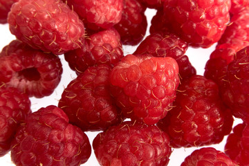 bright colorful fruits on a white background