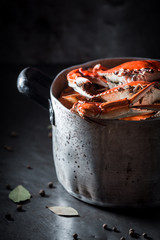 Closeup of fresh and pink crab in a metal pot