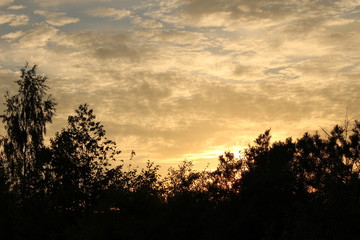 Красивый деревенский быт на закате солнечного ясного вечера. ясный закат над красивым лесом
