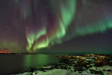 Magia verde © Claudio