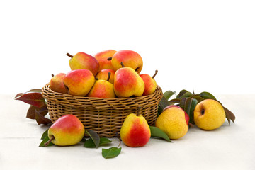 Ripe yellow juicy pears and pear tree leaves in a basket on a table with a white tablecloth on a white background with space for text
