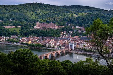 Fototapeta na wymiar Heidelberger Panorama