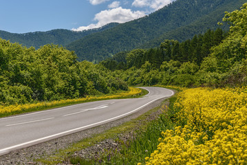 road mountains flowers asphalt summer