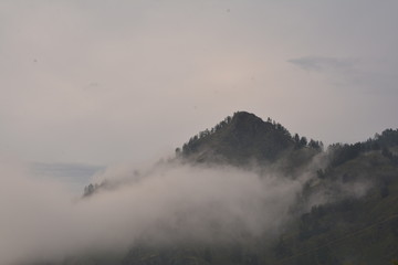 nature landscape landscape mountains field grass river water clouds clouds sky trees birch green blue white fresh air oxygen beauty latitude summer season flowers butterfly blo