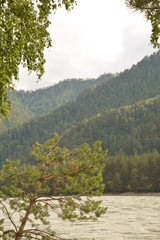 nature landscape landscape mountains field grass river water clouds clouds sky trees birch green blue white fresh air oxygen beauty latitude summer season flowers butterfly blo