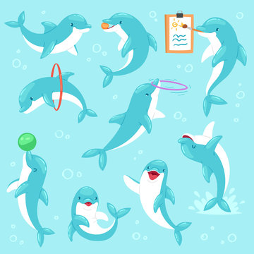 Cartoon Dolphin Images – Browse 36,026 Stock Photos, Vectors, and Video |  Adobe Stock