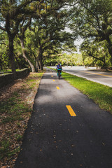 11-mile Old Cutler Trail under the cover of magnificent fichus trees and banyans in Miami with biker passing by.