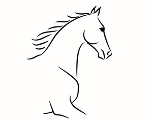 Horse head graphic logo template, vector illustration on white background. Stylish horse head outline for stable, farm, club race design. Running stallion for equestrian sport competition.