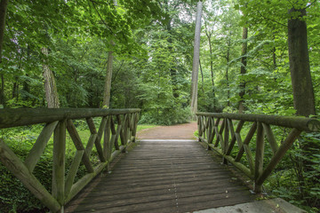 Garden tete d or (Parc de la Tete d'Or) in Lyon, France. Garden named by Gold Head for tresor. Park of the golden head in Lyon, France. A beautiful day in Parc de la Tete d'Or.