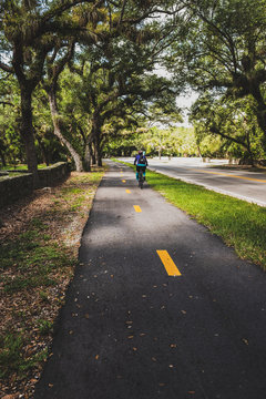 11-mile Old Cutler Trail under the cover of magnificent fichus trees and banyans in Miami with biker passing by.