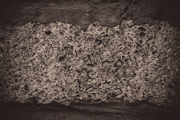 texture tree, concrete background