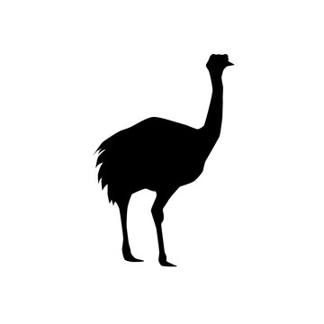 recommend clip art: vikuňa