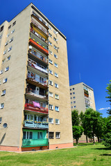 Wysokie domy wielorodzinne wśród drzew w słoneczny dzień. © W Korczewski