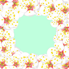 White Plum Blossom Flower Border on Green Mint