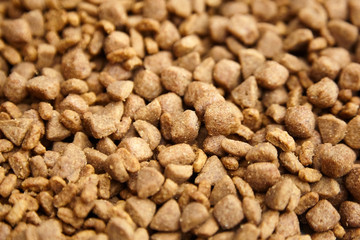 Dry food for dogs and cats. Pet meal background