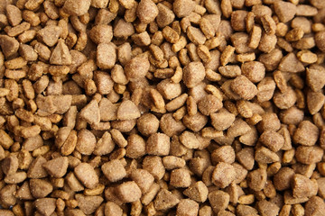 Dry food for dogs and cats. Pet meal background