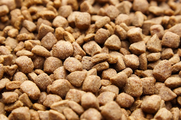 Dry food for dogs and cats. Pet meal background