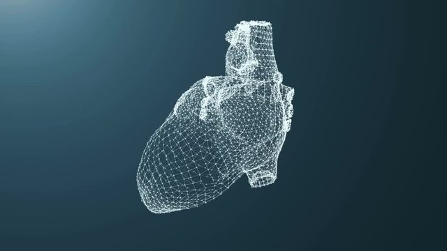 Plexus of the points of the heart.