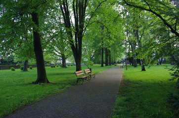 Evening in the park