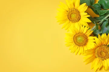 Foto op Aluminium Mooie zonnebloemen op gele achtergrond. Van bovenaf bekijken. Achtergrond met kopie ruimte. © Anna