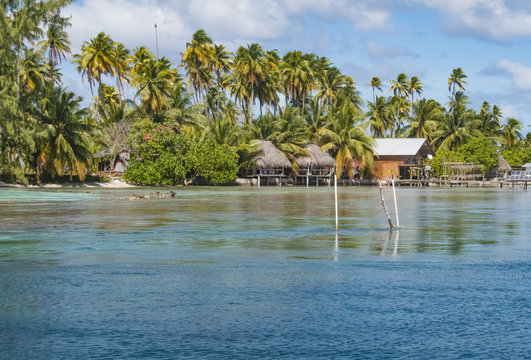 diving resort on Fakarava atoll, Tuamotus archipelago, french Polynesia,France, south pacific