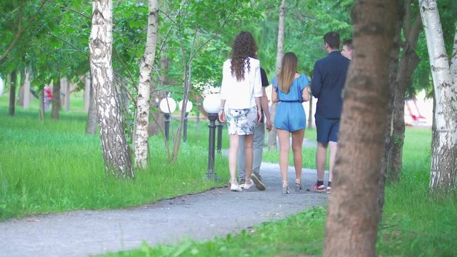 Rear view of young friends walking in the summer park