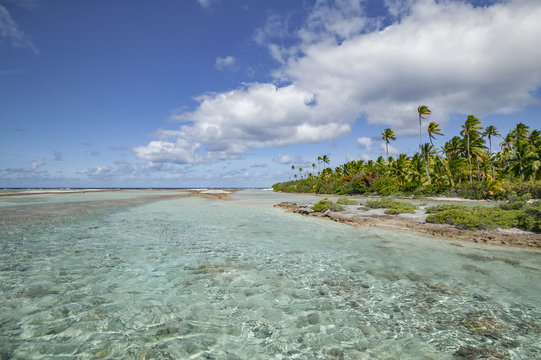 sea and landscape on Fakarava atoll, Tuamotus archipelago, French Polynesia, France,south pacific