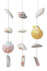 curtain shells