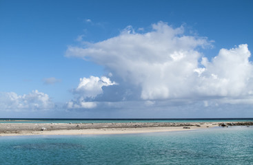 reef ring,lagoon and motu on Tahanea atoll, Tuamotus archipelago, French Polynesia, south pacific