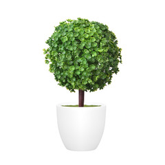 rtificial tree in a pot isolated on white
