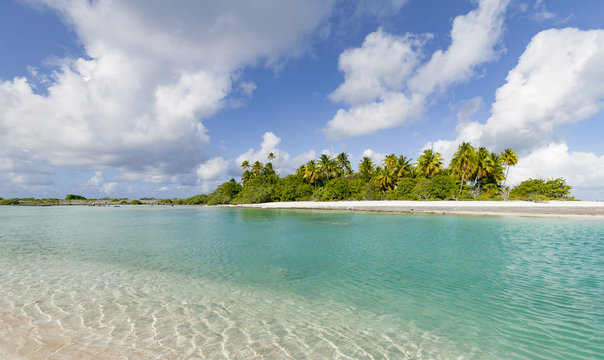 reef ring, lagoon and motu with palm trees on Makemo Atoll, Tuamotus archipelago, French Polynesia, France,