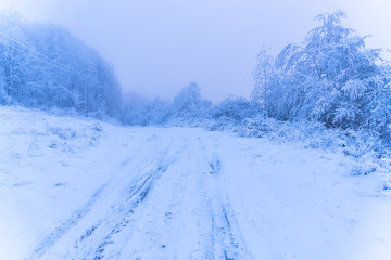 Morning winter landscape