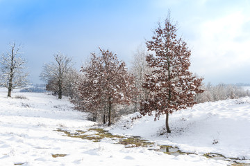 Fototapeta premium Winter landscape