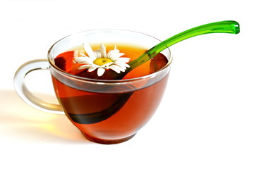 Flower of field chamomile in glass transparent cup of hot black tea with green spoon. Top view. Isolated. White background