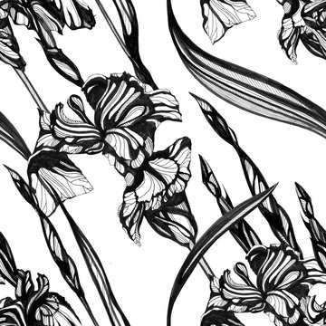 Iris flowers seamless pattern. Hand drawn ink illustration. Wallpaper or fabric design.
