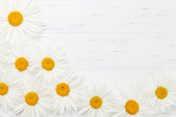 Obraz premium Garden chamomile flowers on wooden background