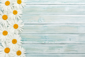 Obraz premium Garden chamomile flowers on wooden background